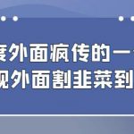 外面收费980的百度极速版最新玩法，多窗口拉满一小时利润在30-50+【软件+教程】