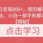 单日变现800+，简历模板新玩法，小白一部手机都可做【揭秘】