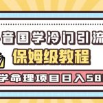 日引流50+，轻松日入500+，抖音国学玄学神秘学最新命理冷门引流玩法，无脑操作【揭秘】