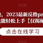 一天800块，2023最新反撸pz玩法，小白也能轻松上手【仅揭秘】