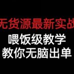 闲鱼无货源最新实战教程，喂饭级教学，教你无脑出单【揭秘】