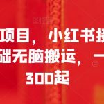 全新风口项目，小红书接广告变现，0基础无脑搬运，一单收入300起