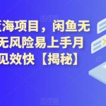 2023最强蓝海项目，闲鱼无货源电商，无风险易上手月赚10000，见效快【揭秘】