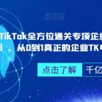 ‎TikTok全方位通关专项企业陪跑【第三期】，从0到1真正的企业TK电商运营全流程