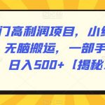 冷门高利润项目，小红书带货，无脑搬运，一部手机实现日入500+【揭秘】