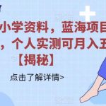 小红书卖小学资料，蓝海项目，红利期长，个人实测可月入五位【揭秘】