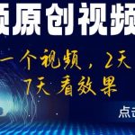 中视频原创视频2.0：3分钟一个视频，2天过计划，7天看效果【揭秘】