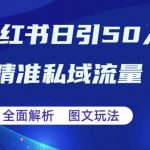 全面解析小红书图文引流日引50私域流量【揭秘】