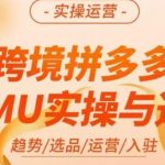 伍跃·跨境拼多多TEMU实操与选品，​趋势/选品/运营/入住（27节完整）