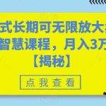 颠覆式长期可无限放大卖职场智慧课程，月入3万+【揭秘】