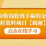 99元一份收钱收到手麻的金融技术教程资料项目【揭秘】