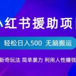 小红书援助项目新奇玩法，简单暴力，无脑搬运轻松日入500【揭秘】