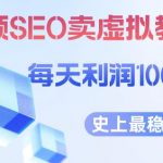 视频SEO出售虚拟产品每天稳定2-5单利润1000+史上最稳定私域变现项目【揭秘】