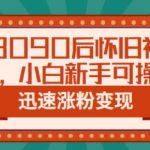 抖音8090后怀旧视频玩法，小白新手可操作，迅速涨粉变现（教程+素材）【揭秘】