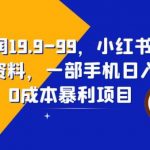 一单利润19.9-99，小红书卖教资考试资料，一部手机日入600（揭秘）