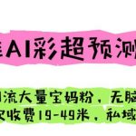 四维AI彩超预测项目引流大量宝妈粉无脑操作一次收费19-49私域二次变现【仅揭秘】