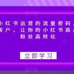 破解小红书运营的流量密码，揽获意向客户，让你的小红书高点赞多粉丝高转化