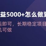 一天收益5000+怎么做到的？无脑搬运即可，长期稳定项目，一部手机可做【揭秘】