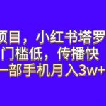 蓝海项目，小红书塔罗占卜，门槛低，传播快，一部手机月入3w+【揭秘】