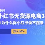 阿本小红书无货源电商3.0，告诉你为什么你小红书做不起来