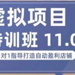 陆明明·虚拟项目特训班（10.0+11.0），0成本获取虚拟素材，0基础打造自动盈利店铺