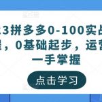 2023拼多多0-100实战运营教程，0基础起步，运营知识一手掌握