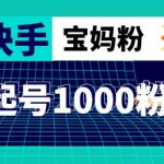 抖音快手三天起号涨粉1000宝妈粉丝的核心方法【详细玩法教程】