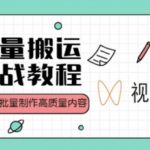 视频号批量搬运实战操作运营赚钱教程，傻瓜式批量制作高质量内容【附视频教程+PPT】