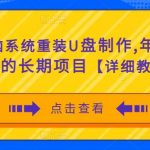 电脑系统重装U盘制作，年赚30W的长期项目【详细教程】