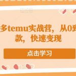 跨境拼多多temu实战营，从0到1打造爆款，快速变现