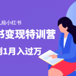 小红书变现特训营：带你快速入局小红书，从0到1月入过万