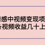 副业孵化营第5期：抖音情感中视频变现项目孵化 单条视频收益几十上百