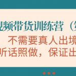 视频带货训练营，不需要真人出境，听话照做，保证出单（第11期）