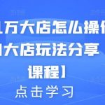 月入几万大店怎么操作？虚拟项目大店玩法分享【视频课程】