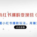 21天小红书涨粉变现营（第3期）：带你掌握小红书爆款玩法，月赚10W+秘密