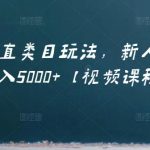 虚拟项目垂直类目玩法，新人快速起店，月入5000+【视频课程】