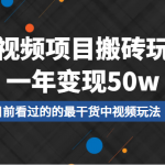 中视频项目搬砖玩法，一年变现50w，目前看过的的最干货中视频玩法