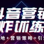 抖音营销王炸训练营，实操落地+营销策略=引爆流量（价值8960元）