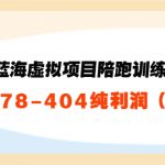 淘宝蓝海虚拟项目陪跑训练营5.0：单天478纯利润