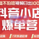 推易电商·2022年抖音小店爆单营，不直播、不拍短视频、日出1000单，暴力玩法