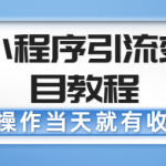 微信小程序引流变现项目教程，当天操作当天就有收益，变现不再是难事