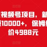 猎人联盟视频号项目，新手0基础轻松月赚10000+，保姆级教程原价4988元