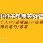 （10375期）2024小红书电商实战营，养号打造IP/选爆品/开店铺/爆款笔记/等等（24节）