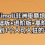 （10374期）kilimall非洲电商培训，基础版+进阶版+高阶版 从0-1个人可入驻的平台-12节