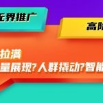 （10426期）2024无界推广 高阶课件，智能拉满，泛流量展现→人群撬动→智能放量-45节