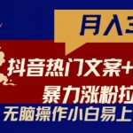 抖音热门文案+网易云截图暴力涨粉拉爆收益玩法，小白无脑操作，简单易上手