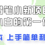 蜡笔小新项目拆解，0投入，0成本，小白一个月也能多赚3000+