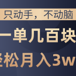 （10561期）只动手不动脑，一单几百块，轻松月入3w+，看完就能直接操作，详细教程