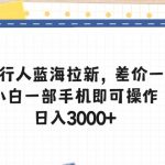 （10557期）抖音发行人蓝海拉新，差价一单35，小白一部手机即可操作，日入3000+