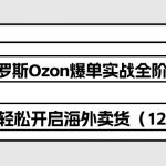 （10555期）俄罗斯 Ozon-爆单实战全阶体系课，零基础轻松开启海外卖货（12节课）